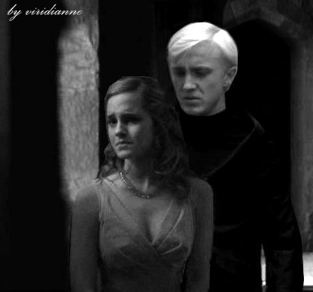 Dramione-HBP-dramione-9527970-449-418