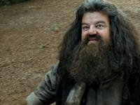 200px-Hagrid