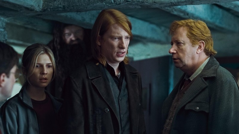 800px-02_Fleur_Bill_Arthur_Weasley