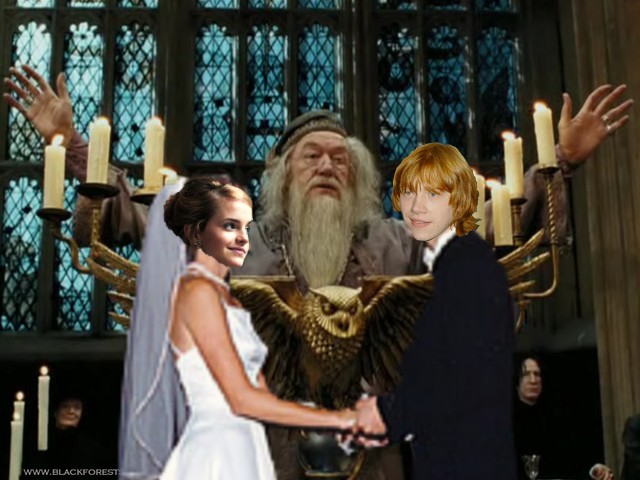 Ron_and_Hermione_vows