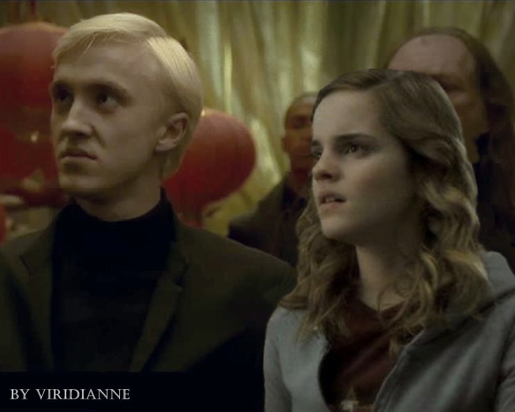 Dramione-HBP-dramione-9527968-747-598