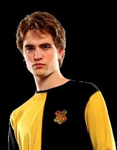 Cedric-Diggory-cedric-diggory-1274153-233-298