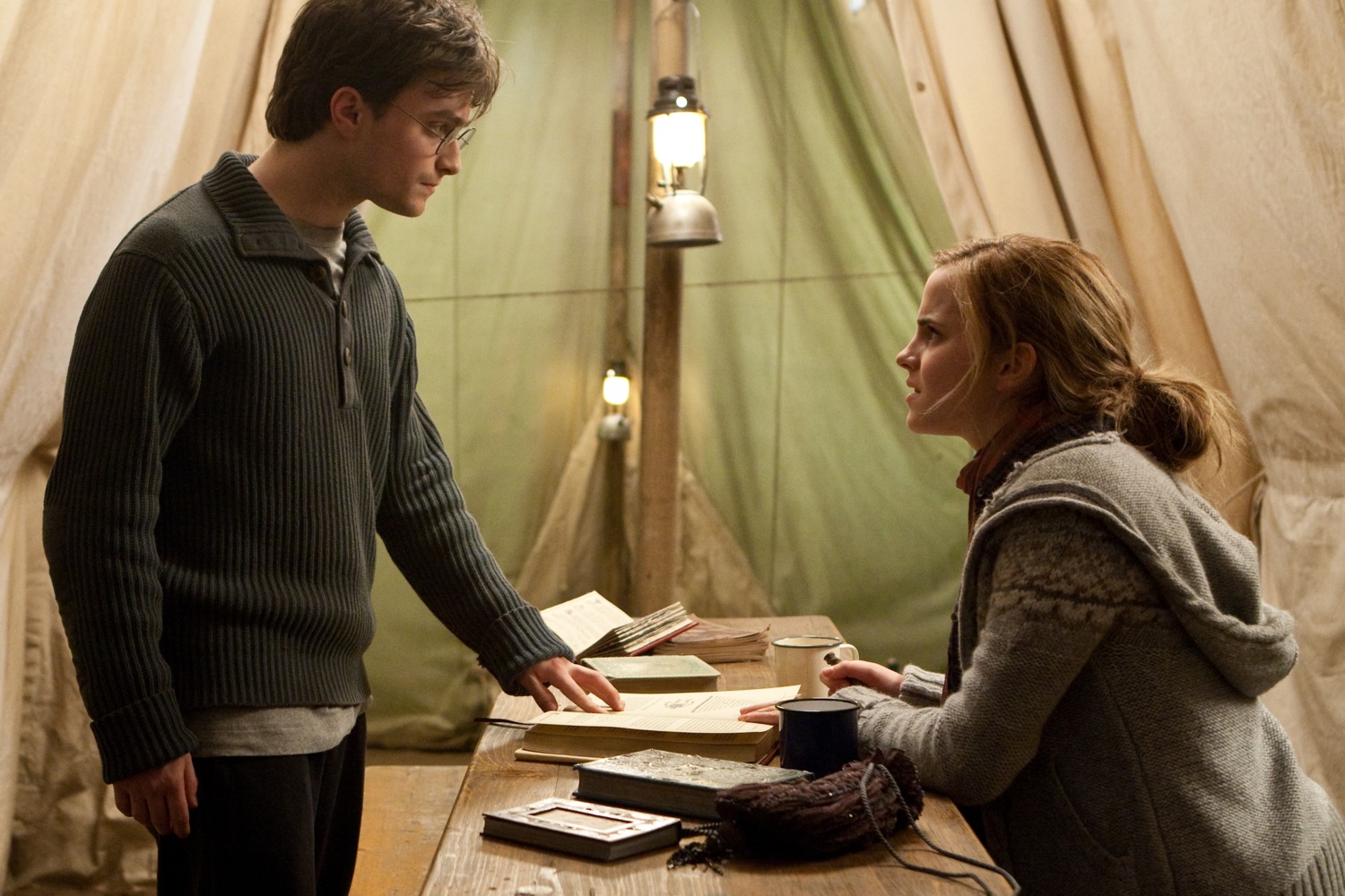 harry-potter-and-the-deathly-hallows-part-1-movie-photo-13