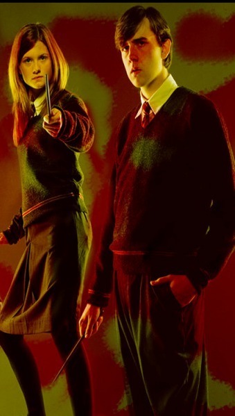 Neville-and-Ginny-neville-and-ginny-7277151-339-599